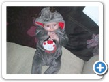 Our little Christmas reindeer